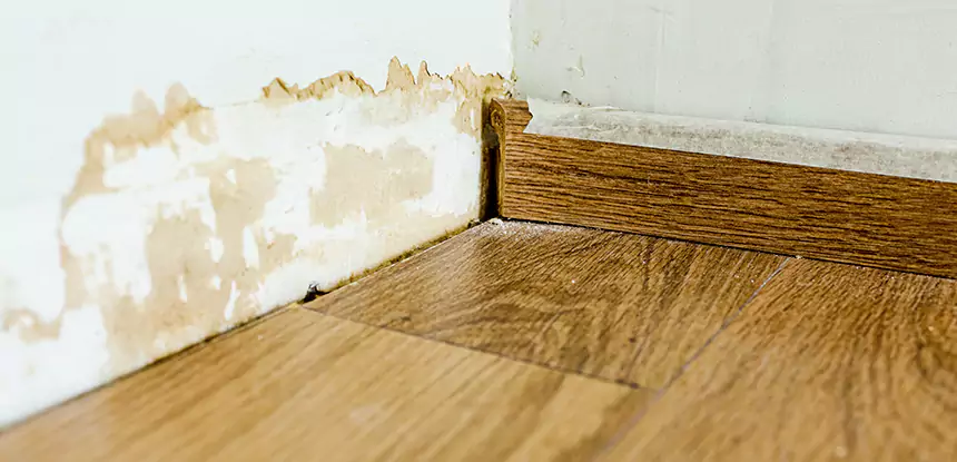 Professional Fix Water Damaged Wood Services in Ball Ground, GA